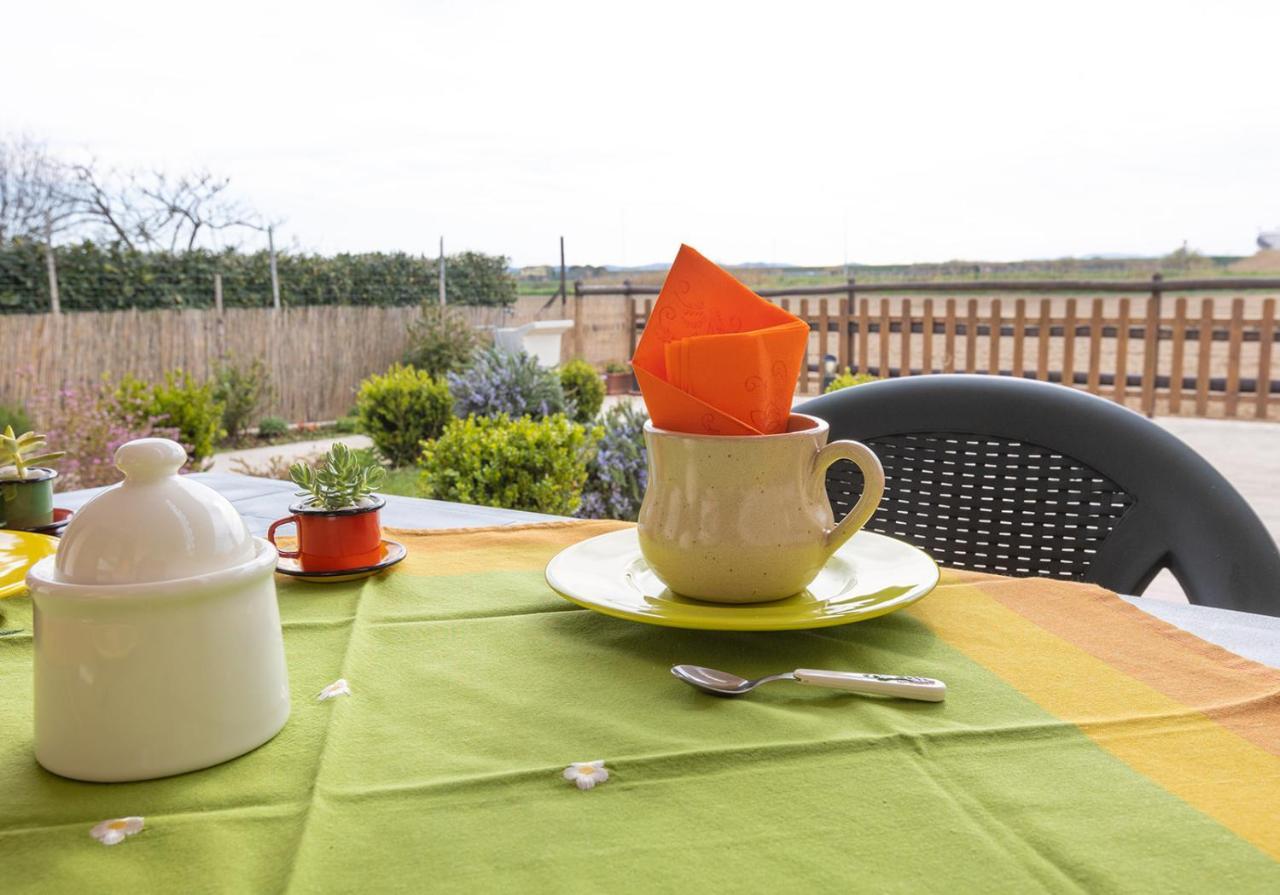 Podere Valle Dei Venti La Sdriscia ภายนอก รูปภาพ